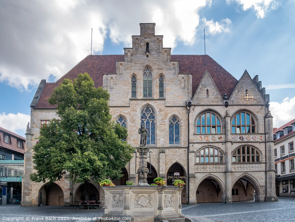 City hall in Hildesheim, Germany Picture Board by Frank Bach