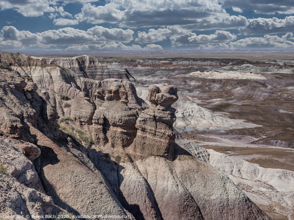 Blue Mesa in Painted Desert near Holbrook, Arizona Picture Board by Frank Bach