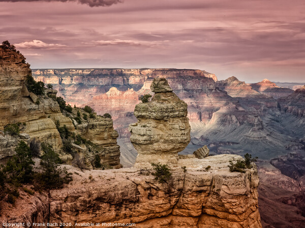 Grand Canyon the Duck at sunset, Arizona Picture Board by Frank Bach