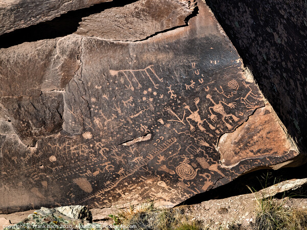 Newspaper rock in Painted desert near Holbrook, Arizona Picture Board by Frank Bach