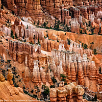 Buy canvas prints of Bryce Canyon hoodoos, Utah by Frank Bach