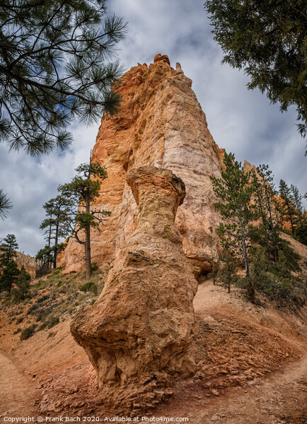 Bryce Canyon hoodoos, Utah Picture Board by Frank Bach