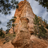 Buy canvas prints of Bryce Canyon hoodoos, Utah by Frank Bach