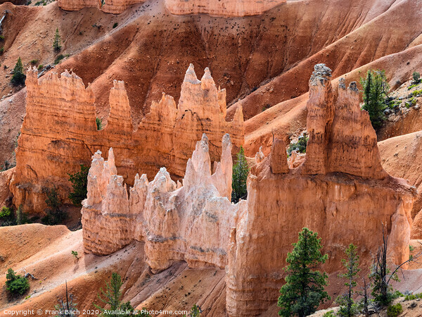 Bryce Canyon hoodoos, Utah Picture Board by Frank Bach