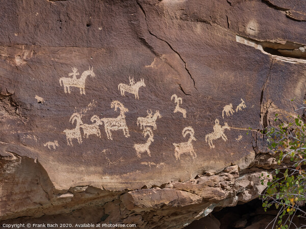 Petroglyphs in Arches national monument, Utah  Picture Board by Frank Bach