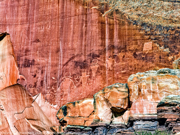 Petroglyphs in Fremont Capitol Reef national monument, Utah Picture Board by Frank Bach
