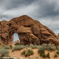 Buy canvas prints of Pine tree Arch in Arches National Monument, Utah by Frank Bach