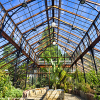 Buy canvas prints of Botanical garden, Greenhouse by Frank Bach
