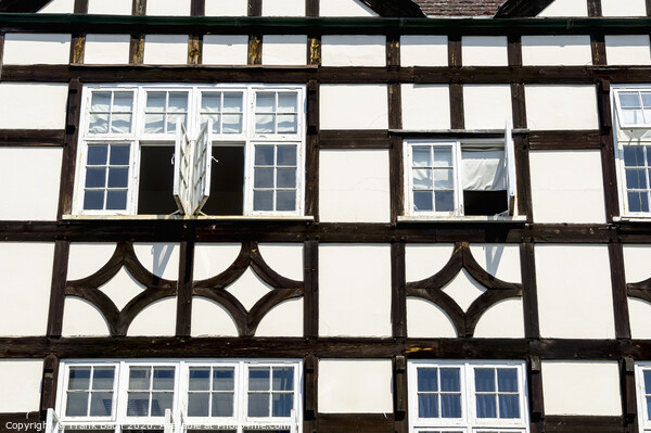 Timber-framed medieval house Picture Board by Frank Bach