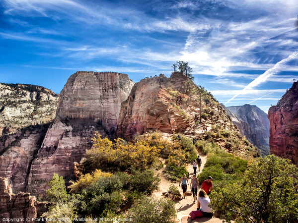 Angels Landing in Zion National Park, Utah Picture Board by Frank Bach
