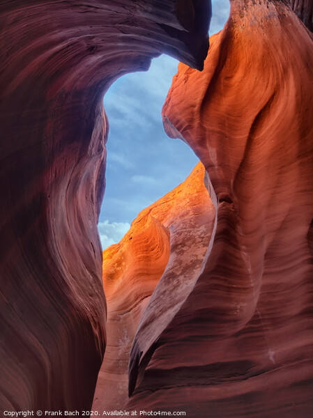 Close up from Rattlesnake Canyon near Page, Arizona Picture Board by Frank Bach