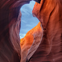 Buy canvas prints of Close up from Rattlesnake Canyon near Page, Arizona by Frank Bach
