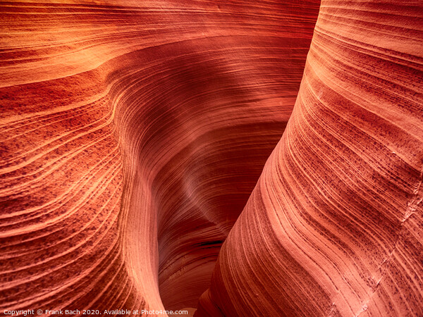 Close up from Rattlesnake Canyon near Page, Arizona Picture Board by Frank Bach