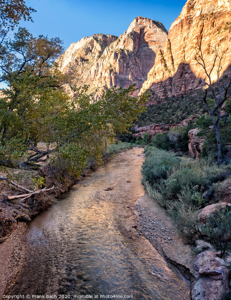 Zion National Park, Utah Picture Board by Frank Bach
