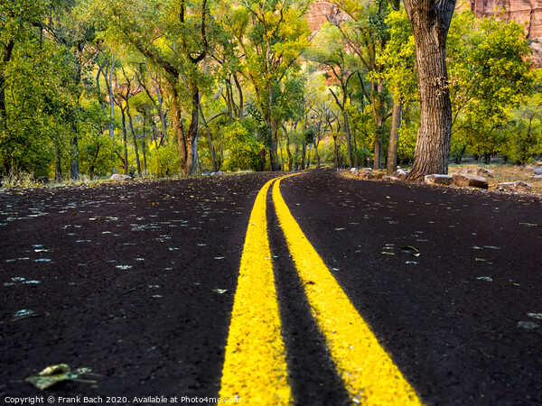 Road in Zion National Park, Utah Picture Board by Frank Bach