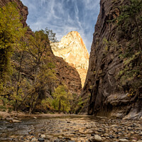 Buy canvas prints of Entrance to the Narrows Zion national park, Utah by Frank Bach
