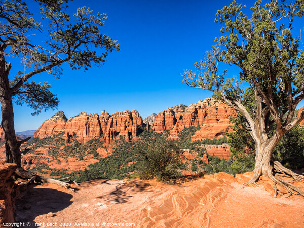 Rock formations in Sedona, Arizona Picture Board by Frank Bach