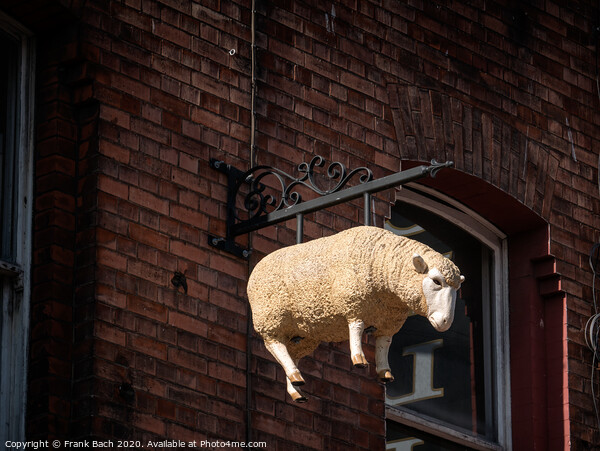 Butchers lamb sign in the streets of Dublin, Ireland Picture Board by Frank Bach