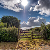 Buy canvas prints of Pathway start with statue to Croagh Patrick in Westport Ireland by Frank Bach