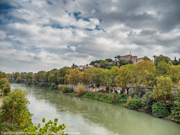 Tiber river in Rome seen from Ponte sublicio, Italy Picture Board by Frank Bach