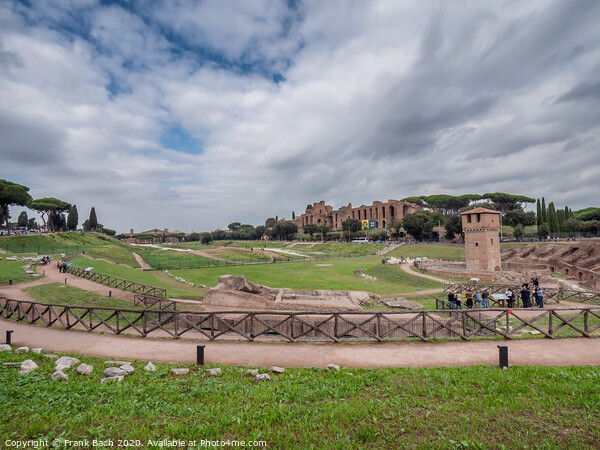 Circus Maximus in Rome, Italy Picture Board by Frank Bach