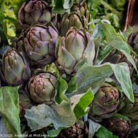 Buy canvas prints of Artichokes for sale on a farmers market in Rome, Italy by Frank Bach