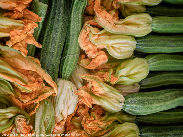 Zucchini with yellow flowers for sale on a farmers market, Rome Picture Board by Frank Bach