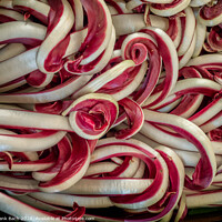 Buy canvas prints of Red bitter chicory salad on a farmers market in Rome by Frank Bach