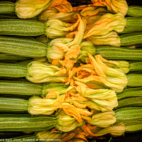Buy canvas prints of Zucchini with yellow flowers for sale on a farmers market, Rome by Frank Bach