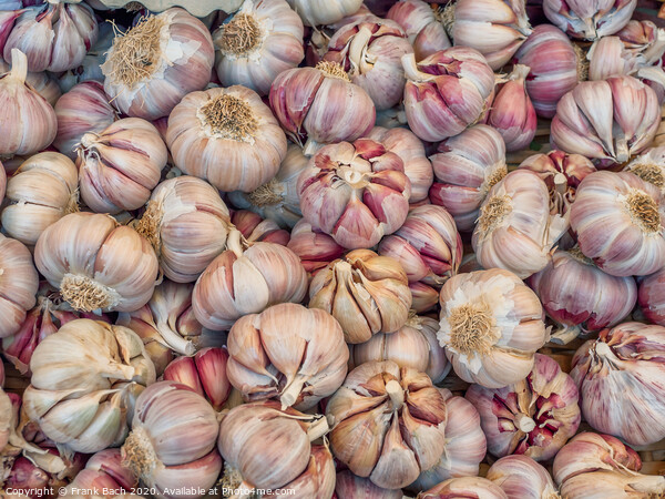 Garlic on a farmers market in Rome Picture Board by Frank Bach