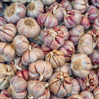 Buy canvas prints of Garlic on a farmers market in Rome by Frank Bach