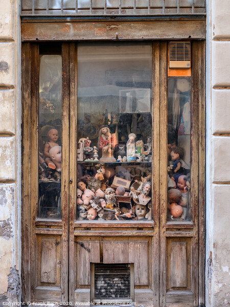 Ospedale delle Bambole doll repair shop in Rome, Italy Picture Board by Frank Bach