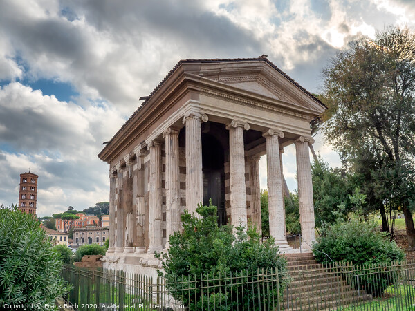 Portuno Temple in ancient Rome, Italy Picture Board by Frank Bach