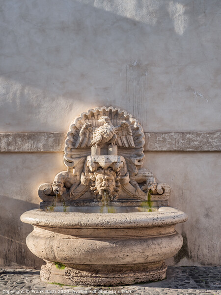 Fountain near Campo dei Fiori in Rome, Italy Picture Board by Frank Bach