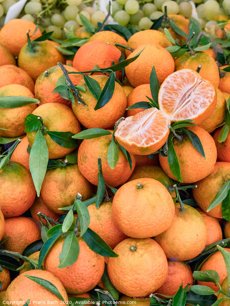 Clementines on a farmers market in Rome, Italy Picture Board by Frank Bach
