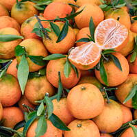 Buy canvas prints of Clementines on a farmers market in Rome, Italy by Frank Bach