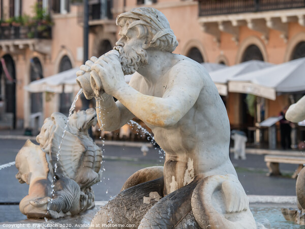 Fountain Fontana Nettuno on Piazza Navona, Rome Italy Picture Board by Frank Bach