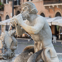 Buy canvas prints of Fountain Fontana Nettuno on Piazza Navona, Rome Italy by Frank Bach
