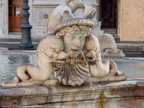 Fountain Fontana Nettuno on Piazza Navona, Rome Italy Picture Board by Frank Bach