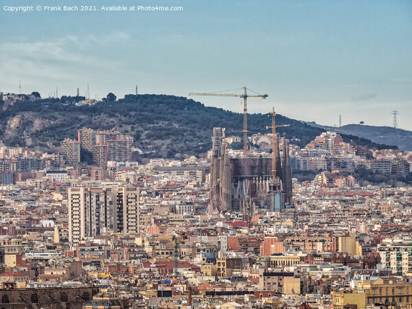 Skyline aerial view of Barcelona Picture Board by Frank Bach