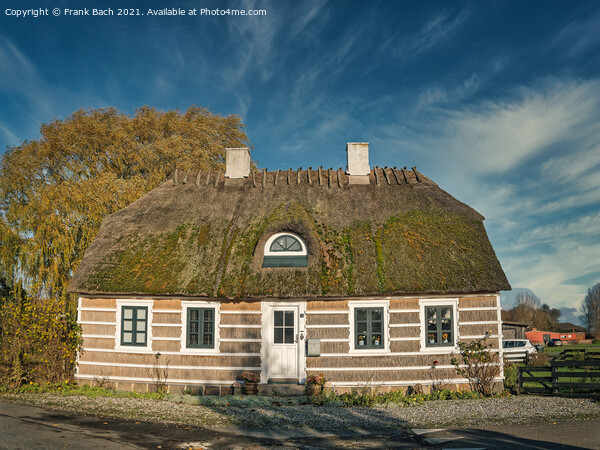 Walls and roof thatched houses in Hesnaes on Falster rural Denma Picture Board by Frank Bach