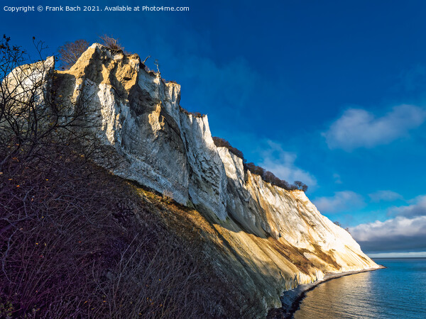 White cliffs on the island Moen in Denmark Picture Board by Frank Bach