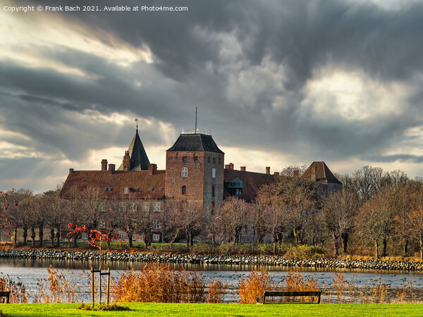 Aalholm castle in Nysted rural Denmark Picture Board by Frank Bach