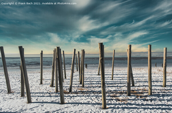 Poles on Hjerting public beach promenade in Esbjerg, Denmark Picture Board by Frank Bach