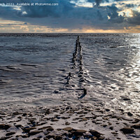 Buy canvas prints of Ebb tide Road on the wadden sea to the island Mandoe, Esbjerg De by Frank Bach
