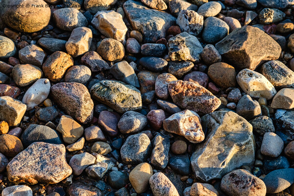 Pebble stones on a beach at Vejle fjord, Denmark Picture Board by Frank Bach