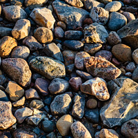 Buy canvas prints of Pebble stones on a beach at Vejle fjord, Denmark by Frank Bach