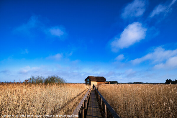 National Park Vejlerne walking paths in North West Denmark Picture Board by Frank Bach