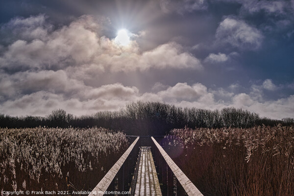 National Park Vejlerne walking paths in North West Denmark Picture Board by Frank Bach