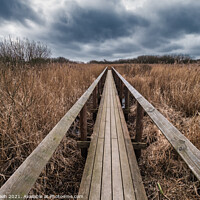 Buy canvas prints of National Park Vejlerne walking paths in North West Denmark by Frank Bach